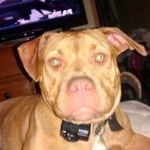 Meet your Posher, Tammy